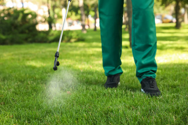 Best Pest Control Treatment  in Keaau, HI