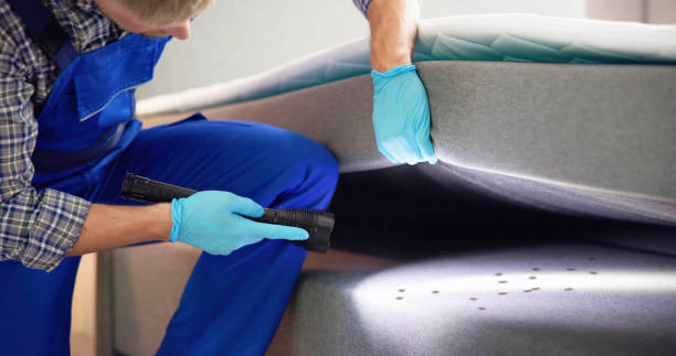 Best Exterminator Services  in Keaau, HI